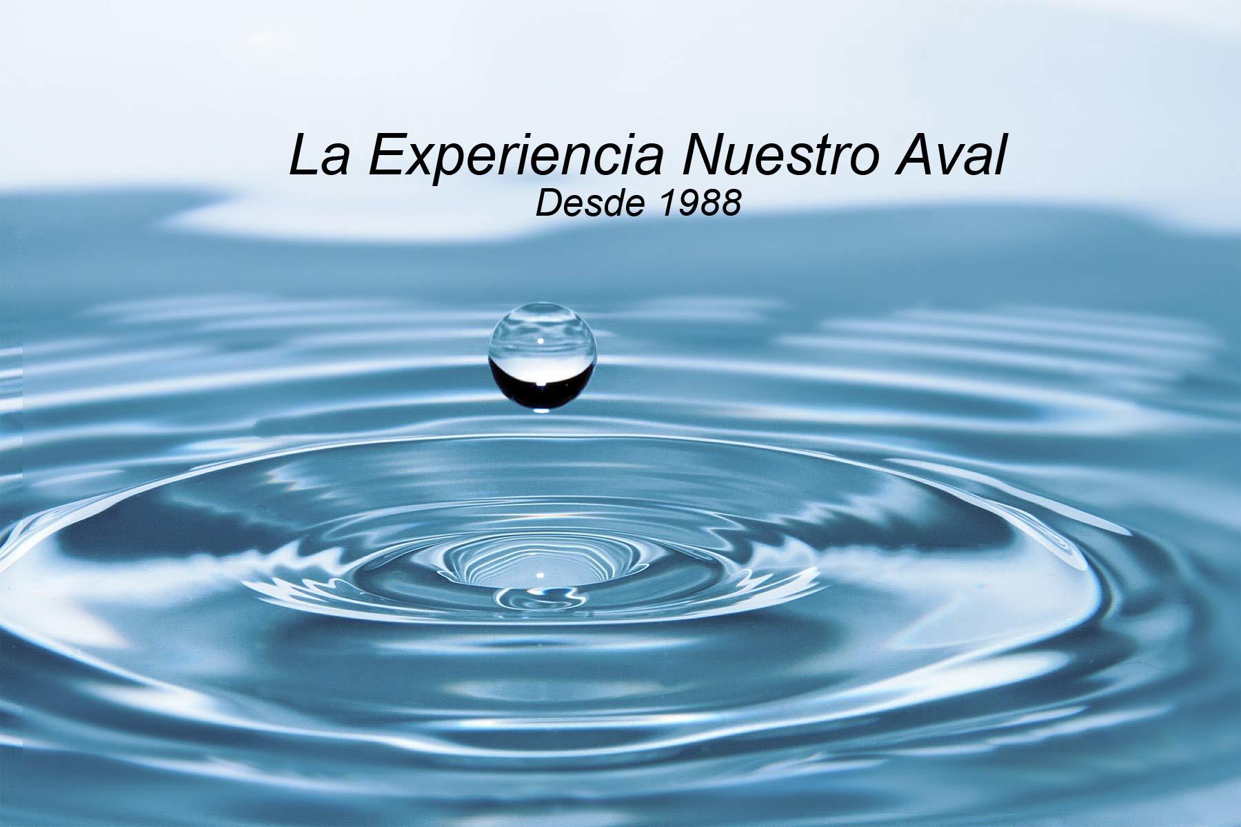 Asesoría Cofis